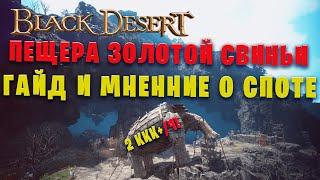 ПЕЩЕРА ЗОЛОТОЙ СВИНЬИ,  НОВЫЙ ТОПОВЫЙ СПОТ В Black Desert?!