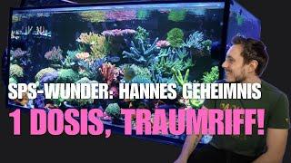 Hannes' Geheimnis: 1 Dosis, Traumriff! Sein SPS-Trick: Geniales Riff mit nur einer Lösung!