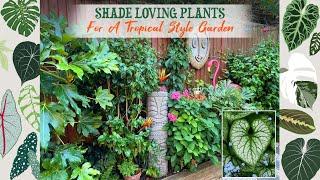 My Favourite Shade Loving Plants For A Tropical Style Garden 