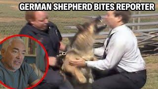 Reacting To A German Shepherd Police Dog That Bites A Reporter’s Face | Cesar Reacts #3