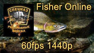 Fisher Online // Порыбачим?! // #60fps // #1440p