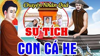 Chuyện Nhân Quả Hay Nhất 2024, Sự Tích Con Cá He...Báo Ứng Hiện Đời, Gieo Nhân Gặt Quả | Nên Nghe