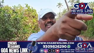 MLA Michael Lobo on the Vagator beach! watch to know why?