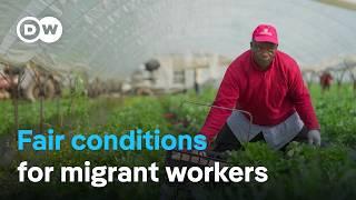 The fight against exploitation of migrant workers in Italy | DW Documentary