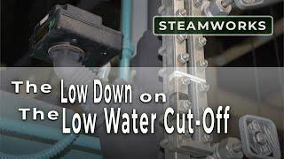 Understanding the Low Water Cut-off Control of a Steam Boiler