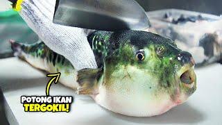 Inilah Cara Potong Ikan Paling Luar Biasa dan Unik yang Mungkin Jarang Bisa Kalian Lihat di Dunia!