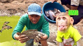 BiBi was surprised when his Dad harvested many big fish