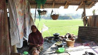 Gubuk Sederhana di Pinggir Danau yang Mengering dengan Pemandangan Sawah yang Indah| Suasana Desa