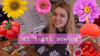 Big Seed Sowing Session! Tomatoes, Courgettes, Cosmos & More! Allotment Plan | Ep. 10