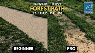 How to Create Forest Path  (SketchUp + Lumion12) | How to create realistic Forest scene