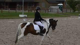 Greasby Equestrian Centre, Wirral, UK