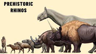 The 9 Different Types Of Prehistoric Rhinoceros