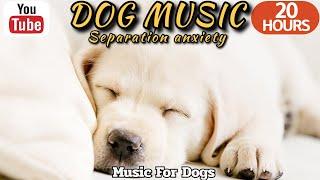 20 HOURS of Dog Calming MusicRelaxing Music for Dog SleepDog Separation Anxiety Music⭐Healingmate