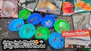 Fish Market | Galiff Street Fish Market Kolkata | Cheap Price | Recent Aquarium Fish Price Update