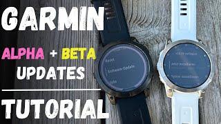 Garmin Beta und Alpha Programm - wie geht das ?