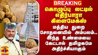 கொழுப்பு லட்டில் எதிர்பாரா கிளைமேக்ஸ்.. மத்திய துறை சோதனையில் அம்பலம்..