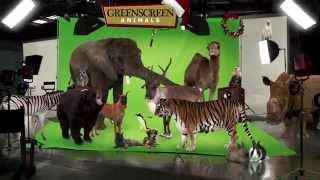 GreenScreen Animals Holiday Greeting