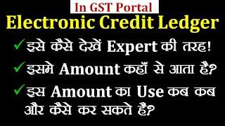 Electronic Credit Ledger kese dekhe GST Portal par | How To View Electronic Credit Ledger in GST