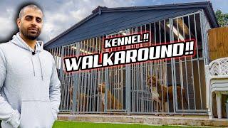 INSIDE ROYAL WINDSOR BULLYS **UK KENNEL TOUR!!**