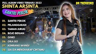 SHINTA ARSINTA "SANTRI PEKOK" - FULL ALBUM VIDEO TRENDING TERBARU 2023 - TRENDING TERBARU