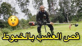 قص العشب بطريقة محترفة وذكية weed cutter