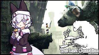 [ THE LAST GUARDIAN ] it's as if......she never left...... [ Phase-Connect ]