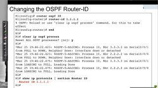 OSPFv2 Configuration: Basic Configuration