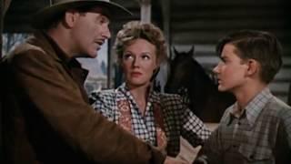 Thunderhead   Son of Flicka Western Family Film 1945  Roddy McDowall, Preston Foster & Rita Johnson