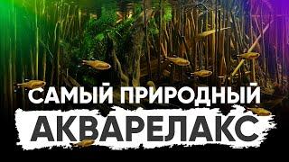 Самый природный акварелакс