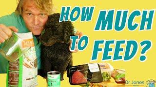 How Much To Feed Your Dog