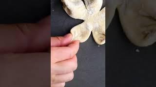 Pastry Folding  Puff Pastry Art #shorts #pastry #foodart #bakery #asmr #easy #puffpastry #diy