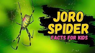 Learn All About Joro Spiders (Facts For Kids)