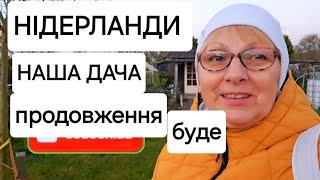 Нідерланди Наша дача залишається Огляд Як почистити манго #українцізакордоном #Nederland #нашадача