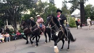 Dancing Horses - 2019 FFA Twilight Parade Highlight Once Again @ Healdsburg, CA 5-23-19