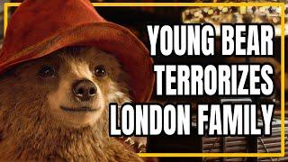 Get Ready For A Little Trouble | Paddington (2014) MMM #100