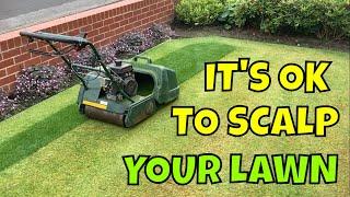 Mid SUMMER LAWN tips / SCALP your lawn this AUGUST