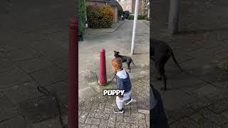 Incredible Duo! Baby and Puppy Face an Obstacle  #shorts #viral #fyp