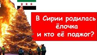 Это интересно! Что же случилось с ёлочкой в Сирии? Ответ вас удивит!