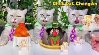 Try Chef Cat's New Collection Of Early SUMMER Recipes! | Cat Cooking Food | Cute And Funny Cat