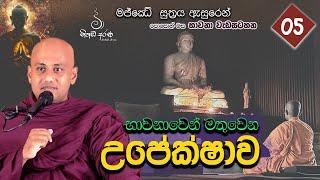 භාවනාවෙන් මතුවන උපේක්ෂාව - Ven Aluthgamgoda Gnanaweera Thero | නිහඬ අරණ