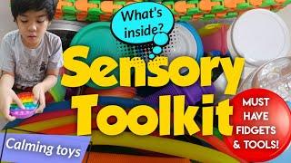 What's inside Syden's Sensory Toolkit? Must Have Fidgets and Sensory Tools