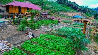 Aquaculture, Sweet Potatoes, Harvest After One Year, Floods, Natural Disasters | Thao Vy Garden Farm