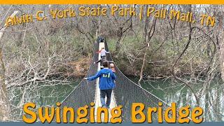 What’s it like walking on a swinging bridge? Swinging Bridge at Alvin C. York State Park #shorts