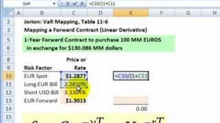 Risk factors in a forward foreign currency contract