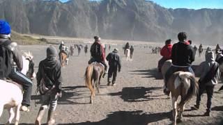 Riding hourse in  Bromo mountain  Indonesia