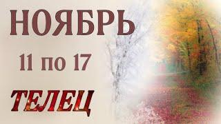  ТЕЛЕЦ, ️, ТАРО ПРОГНОЗ на неделю с 11 по 17 ноября 2024 г. ,гороскоп,