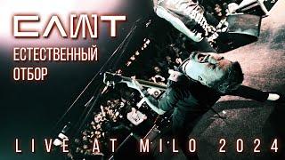 СЛОТ – Естественный отбор (LIVE AT MILO 2024)