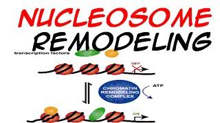 Nucleosome Remodeling