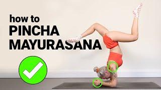 How To: Pincha Mayurasana - Forearm Stand for Beginners