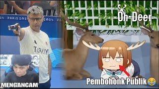 Daerah Penembakan Nokotan Liar  | Oh Deer